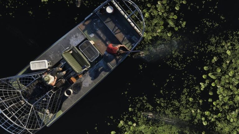 A poacher on a boat aims his double-barrel shotgun at nearby alligators.