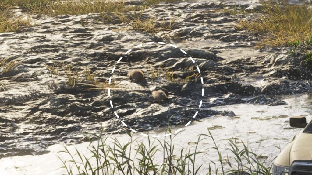 Beavers seen on rocks in GTA 6