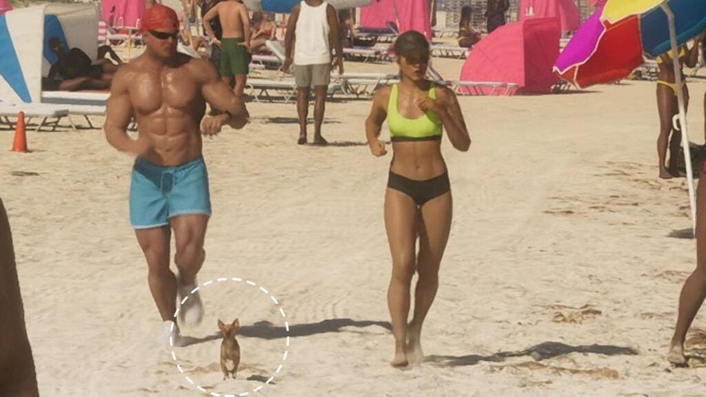 Chihuahua running alongside its owner in GTA 6