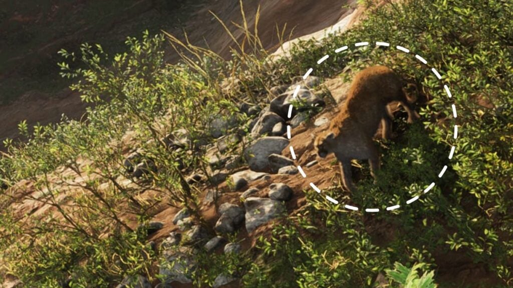 Cougar on a cliff in GTA 6