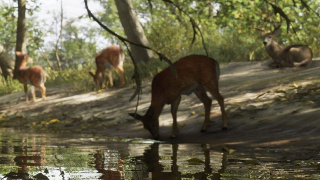 Deer relaxing and drinking water from a stream in GTA 6