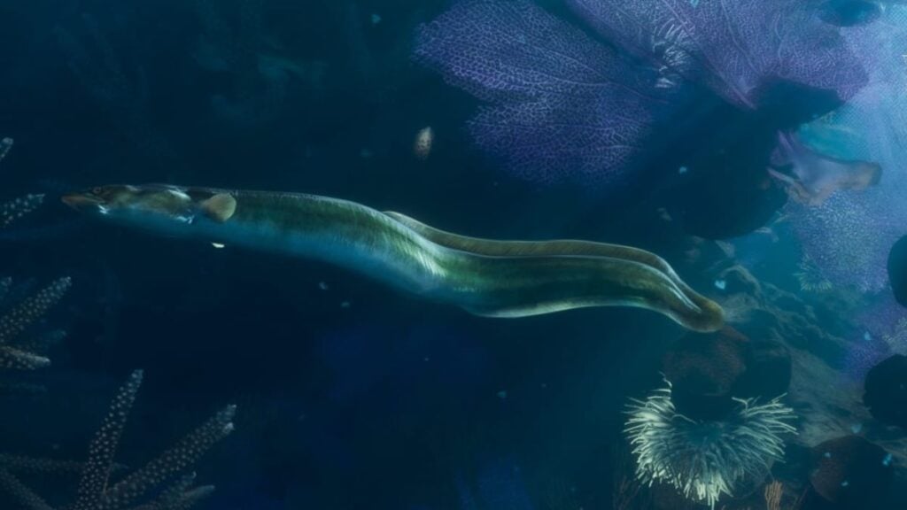 Eel swimming underwater in GTA 6