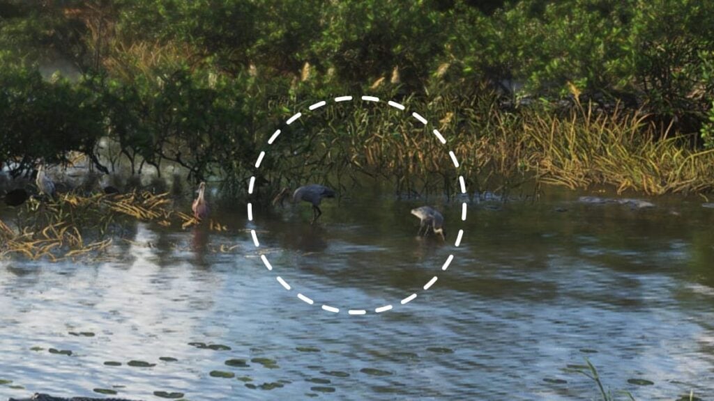 Pair of Herons in GTA 6