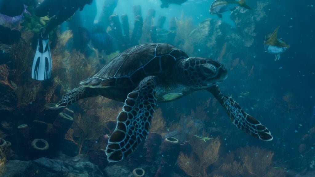 Sea Turtle underwater in GTA 6