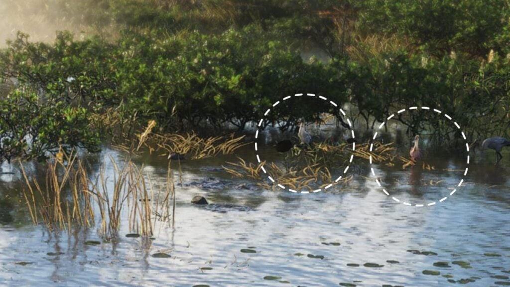 Pair of spoonbill in GTA 6