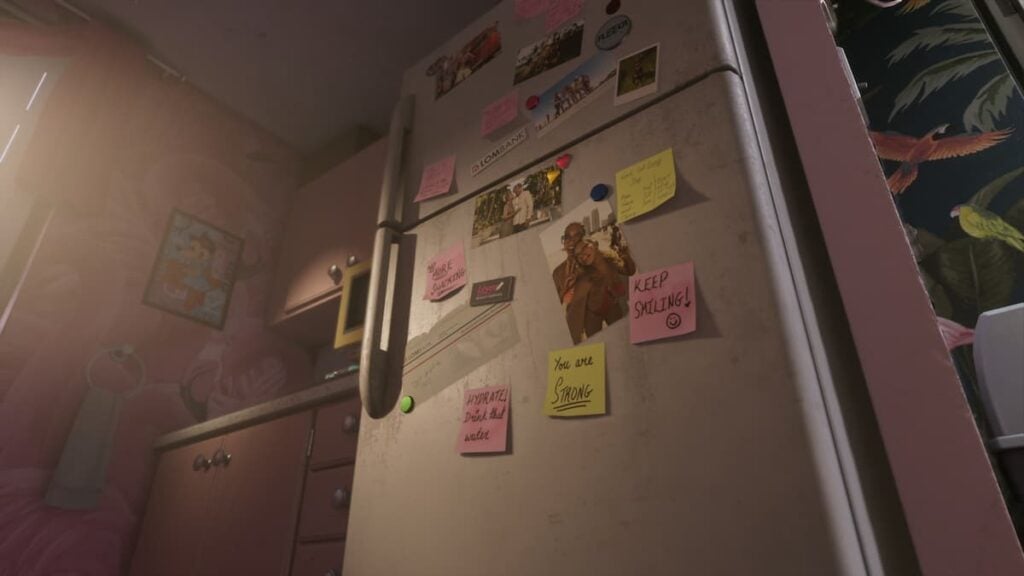 Fridge Personalized Notes and Pics