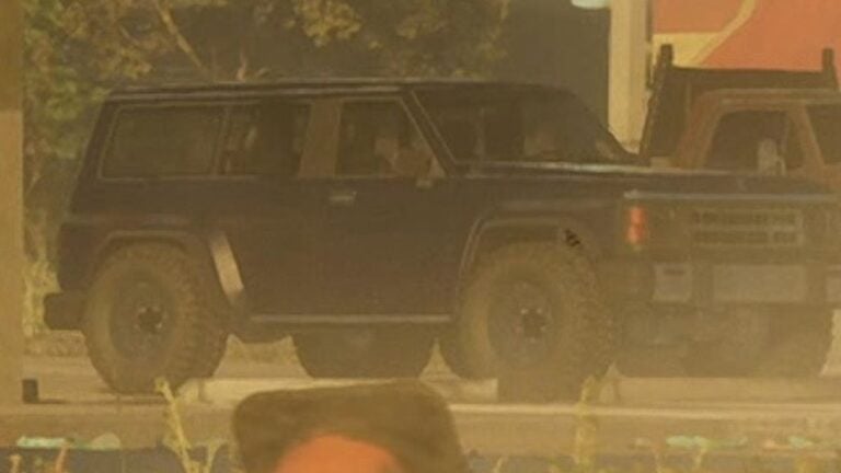 Black Annis Hellion in GTA 6 Trailer