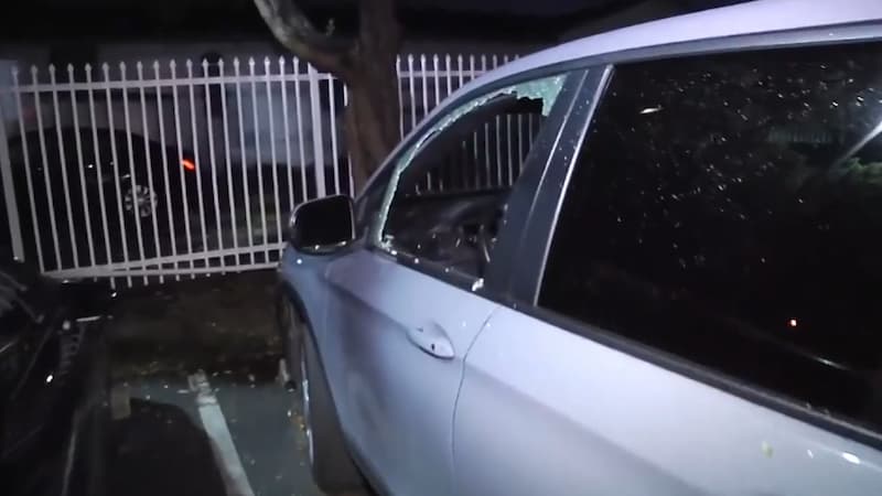 One of the many smashed car door windows